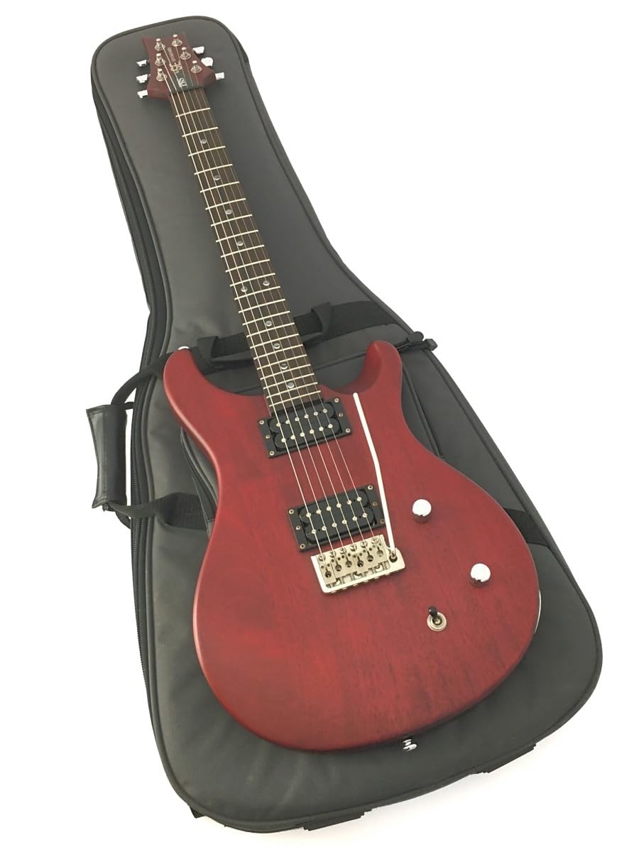 Amazon.co.jp: PRS(Paul Reed Smith)SE Standard222007マホガニー